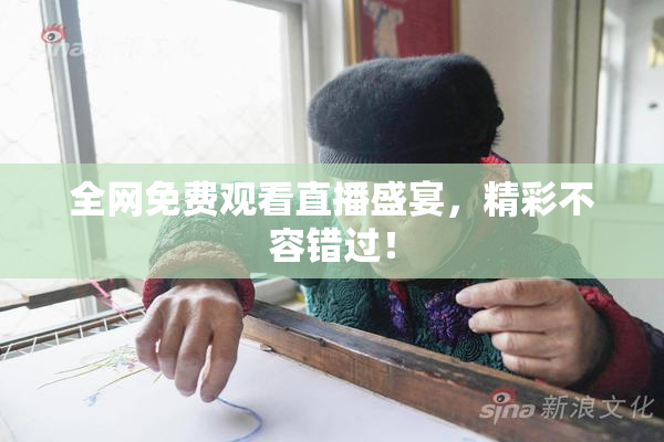 全网免费观看直播盛宴，精彩不容错过！
