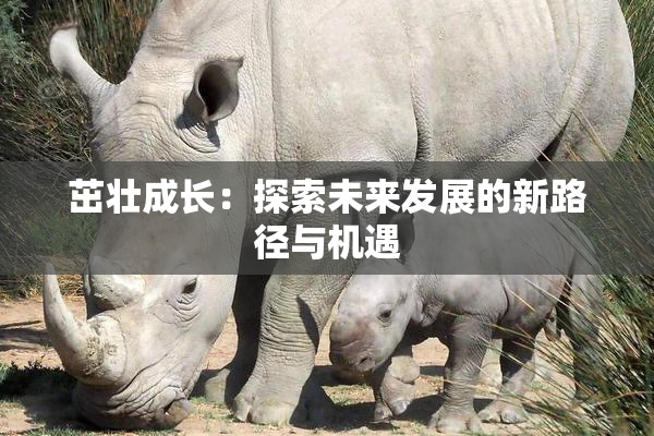 茁壮成长：探索未来发展的新路径与机遇