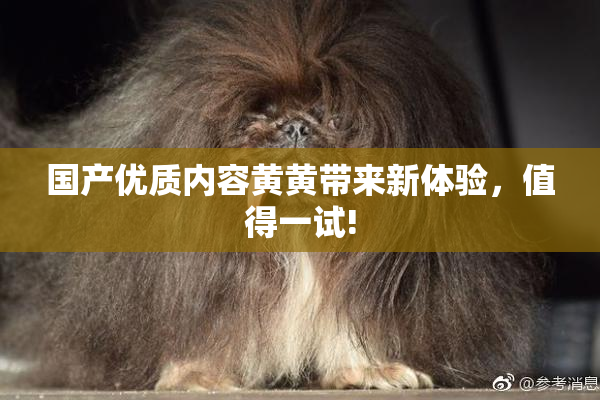 国产优质内容黄黄带来新体验，值得一试!