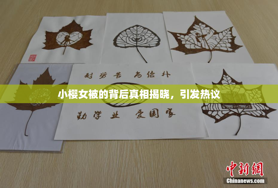 小樱女被的背后真相揭晓，引发热议