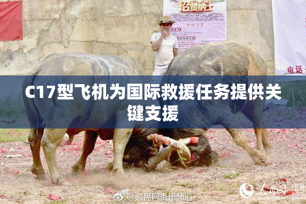 C17型飞机为国际救援任务提供关键支援