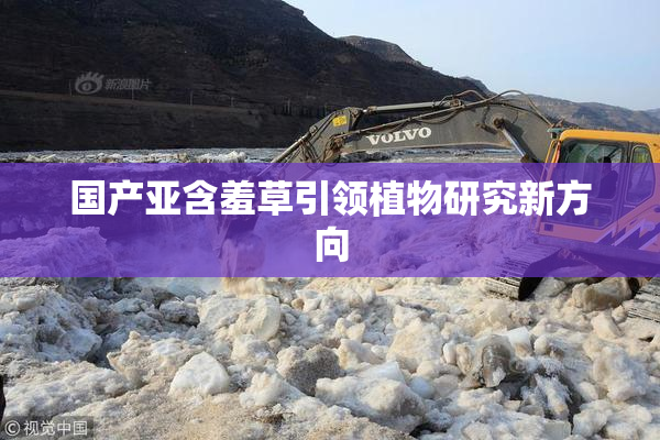 国产亚含羞草引领植物研究新方向