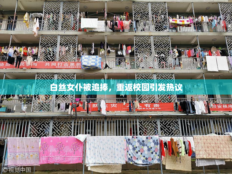 白丝女仆被追捧，重返校园引发热议