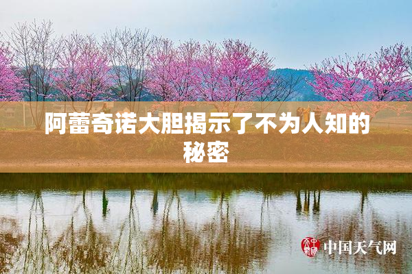 阿蕾奇诺大胆揭示了不为人知的秘密
