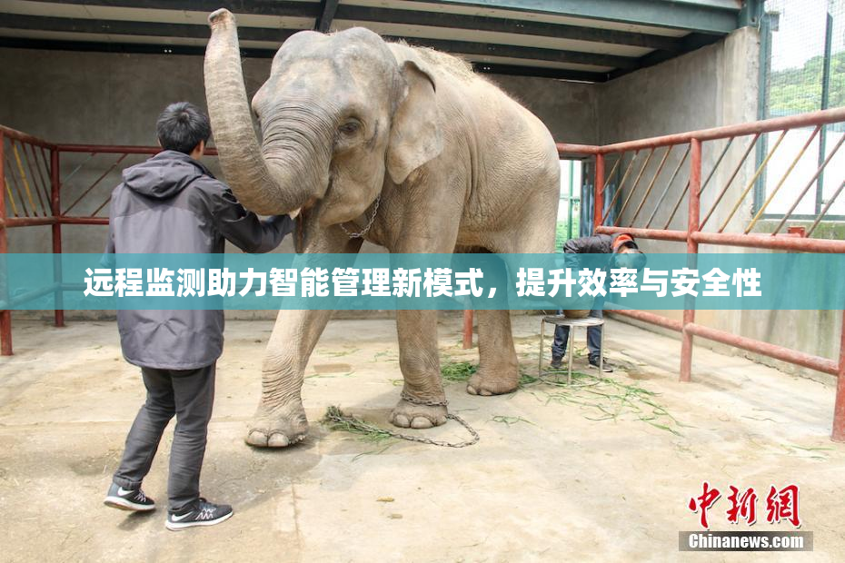 远程监测助力智能管理新模式，提升效率与安全性