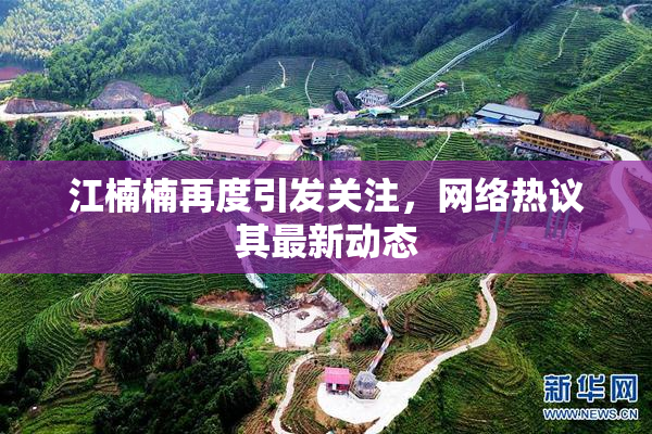 江楠楠再度引发关注，网络热议其最新动态