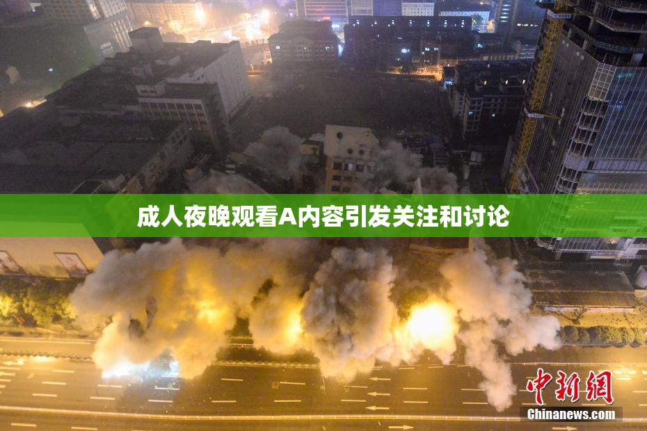成人夜晚观看A内容引发关注和讨论