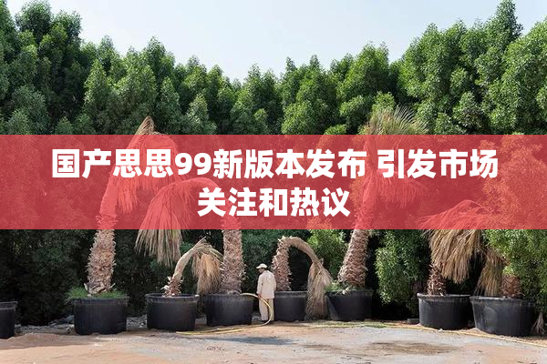 国产思思99新版本发布 引发市场关注和热议