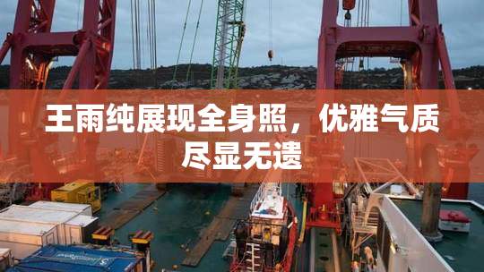 王雨纯展现全身照，优雅气质尽显无遗