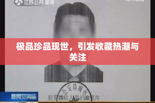 极品珍品现世，引发收藏热潮与关注