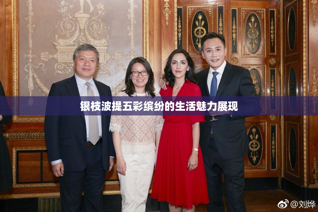 银枝波提五彩缤纷的生活魅力展现