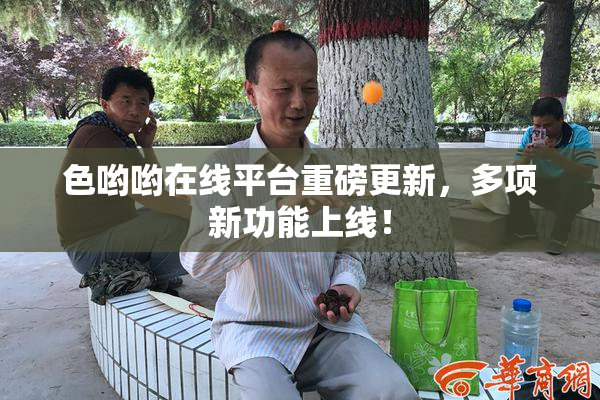 色哟哟在线平台重磅更新，多项新功能上线！