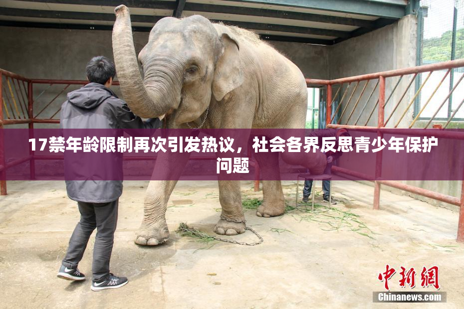 17禁年龄限制再次引发热议，社会各界反思青少年保护问题
