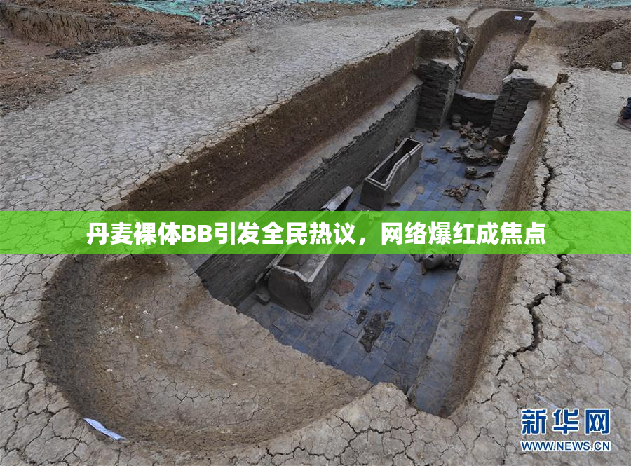 丹麦裸体BB引发全民热议，网络爆红成焦点