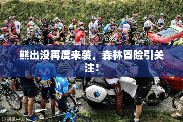 熊出没再度来袭，森林冒险引关注！