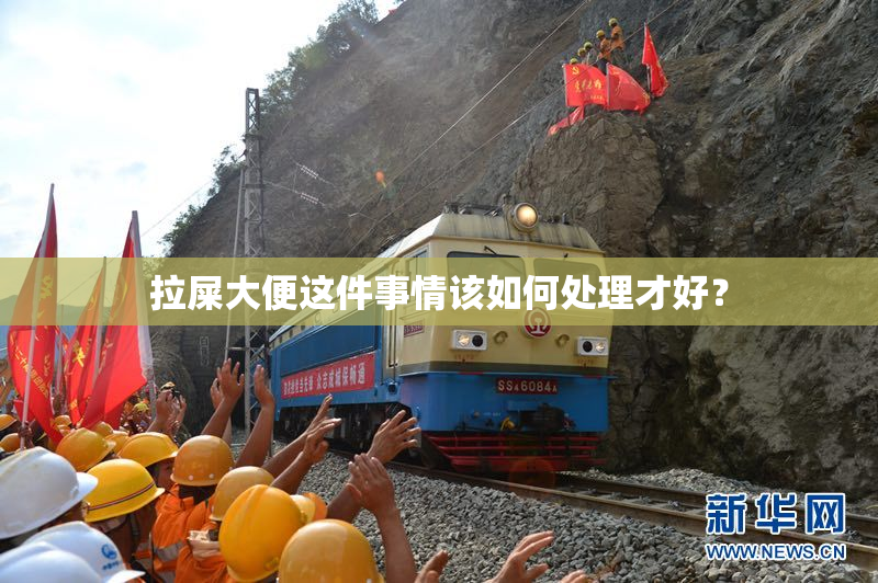 拉屎大便这件事情该如何处理才好？