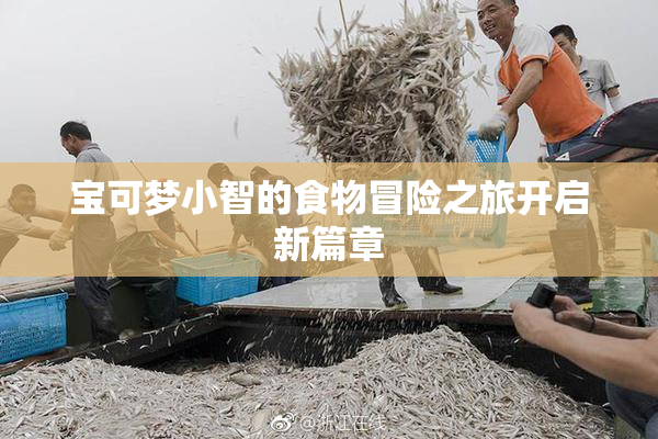 宝可梦小智的食物冒险之旅开启新篇章
