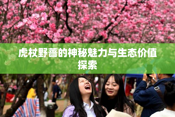 虎杖野蔷的神秘魅力与生态价值探索