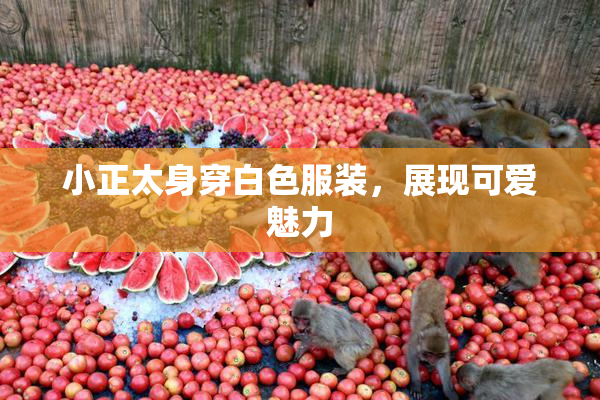小正太身穿白色服装，展现可爱魅力