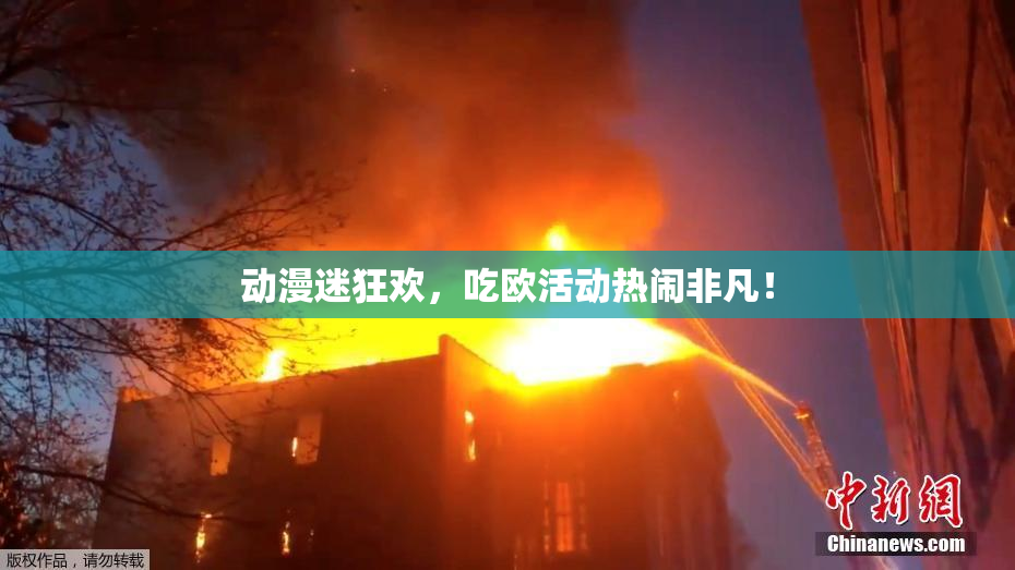 动漫迷狂欢，吃欧活动热闹非凡！