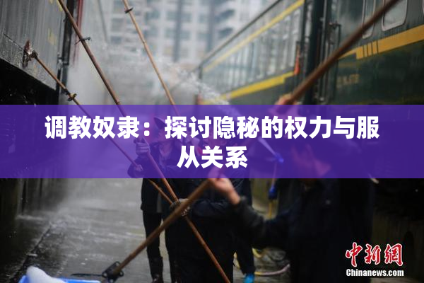调教奴隶：探讨隐秘的权力与服从关系