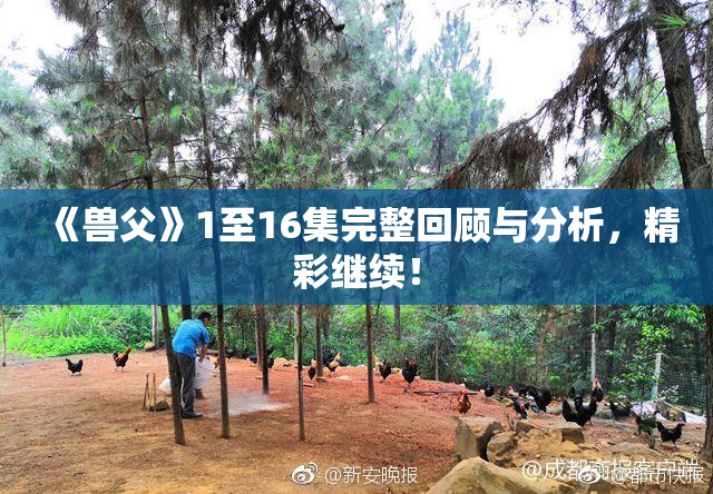 《兽父》1至16集完整回顾与分析，精彩继续！