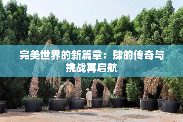 完美世界的新篇章：肆的传奇与挑战再启航