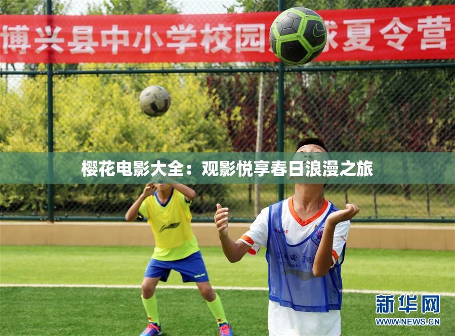 樱花电影大全：观影悦享春日浪漫之旅