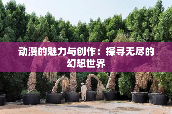 动漫的魅力与创作：探寻无尽的幻想世界