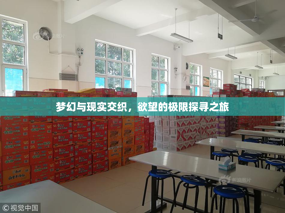 梦幻与现实交织，欲望的极限探寻之旅