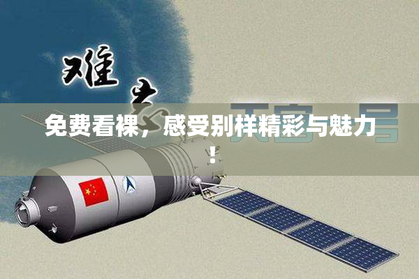 免费看裸，感受别样精彩与魅力！