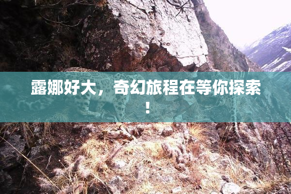 露娜好大，奇幻旅程在等你探索！