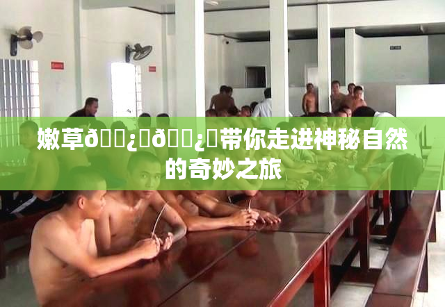 嫩草🌿‌🌿‌带你走进神秘自然的奇妙之旅