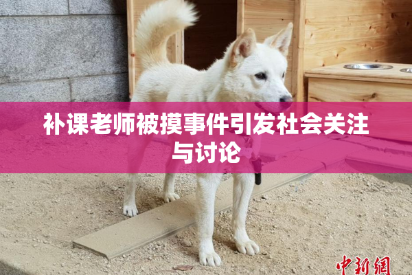 补课老师被摸事件引发社会关注与讨论