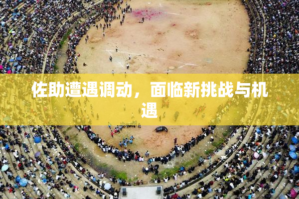 佐助遭遇调动，面临新挑战与机遇