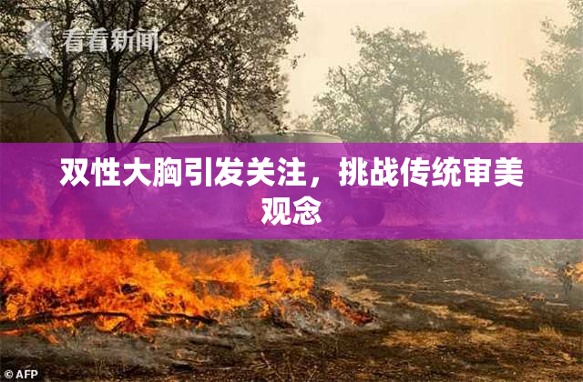 双性大胸引发关注，挑战传统审美观念