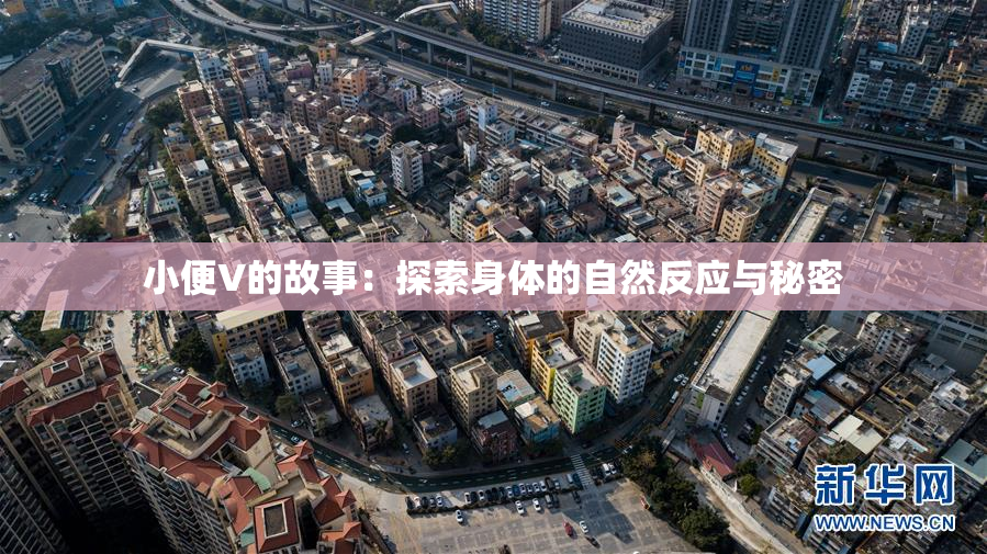 小便V的故事：探索身体的自然反应与秘密