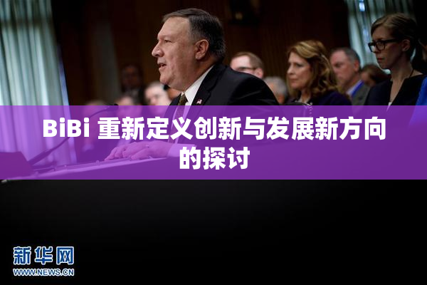 BiBi 重新定义创新与发展新方向的探讨