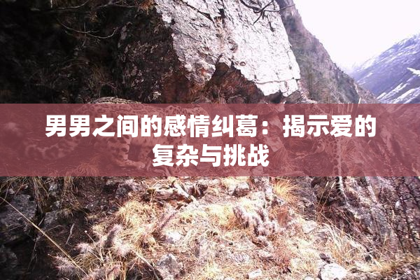 男男之间的感情纠葛：揭示爱的复杂与挑战