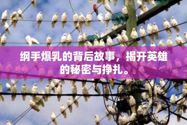 纲手爆乳的背后故事，揭开英雄的秘密与挣扎。