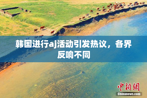 韩国进行aj活动引发热议，各界反响不同