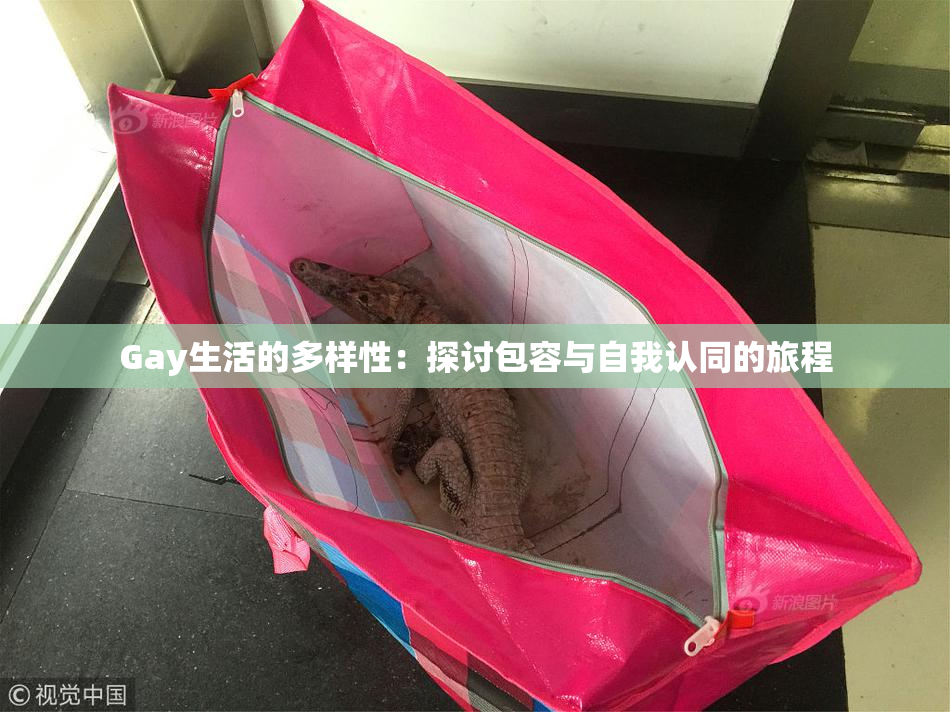 Gay生活的多样性：探讨包容与自我认同的旅程
