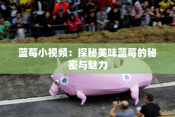 蓝莓小视频：探秘美味蓝莓的秘密与魅力