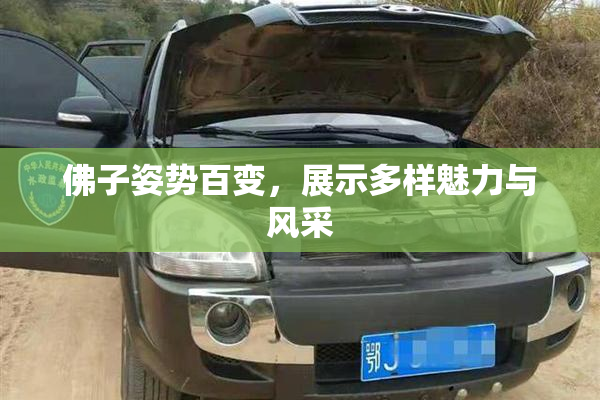 佛子姿势百变，展示多样魅力与风采