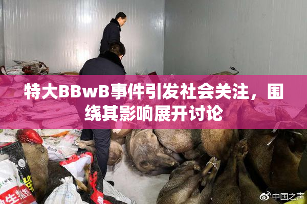 特大BBwB事件引发社会关注，围绕其影响展开讨论