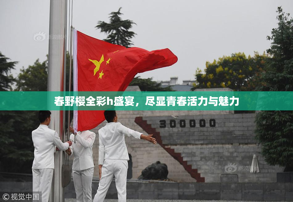 春野樱全彩h盛宴，尽显青春活力与魅力