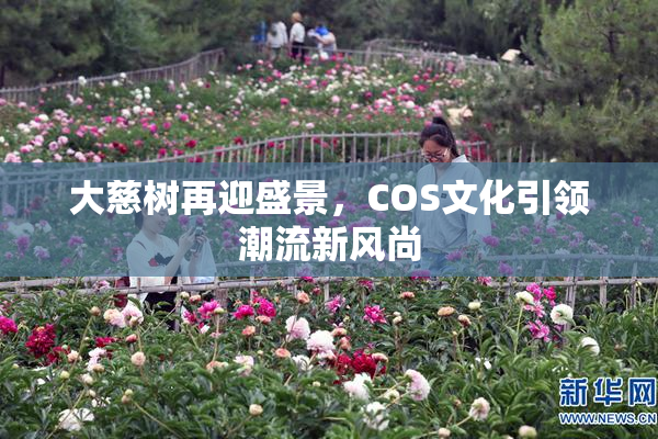 大慈树再迎盛景，COS文化引领潮流新风尚
