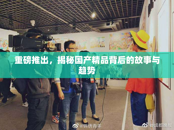 重磅推出，揭秘国产精品背后的故事与趋势