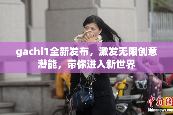 gachi1全新发布，激发无限创意潜能，带你进入新世界