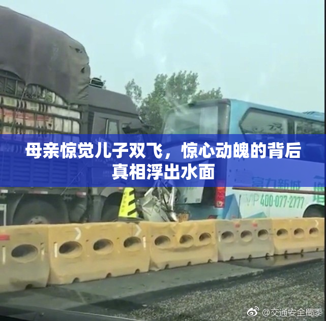 母亲惊觉儿子双飞，惊心动魄的背后真相浮出水面